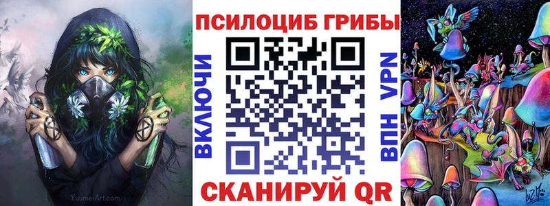 Галлюциногенные грибы Psilocybine cubensis  Нефтеюганск 
